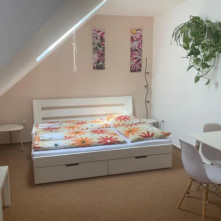 Guest house Penzion Karlov