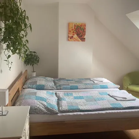 Penzion Karlov Guest house *