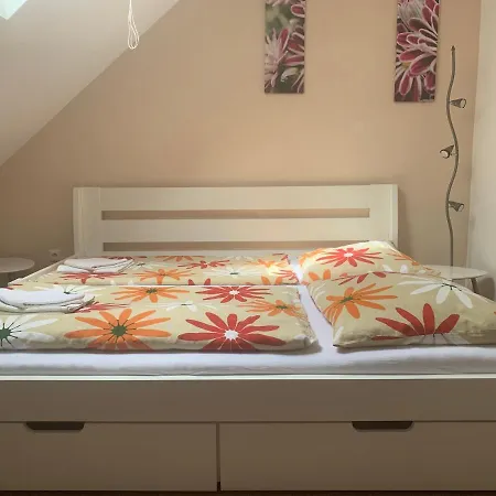 Penzion Karlov Guest house