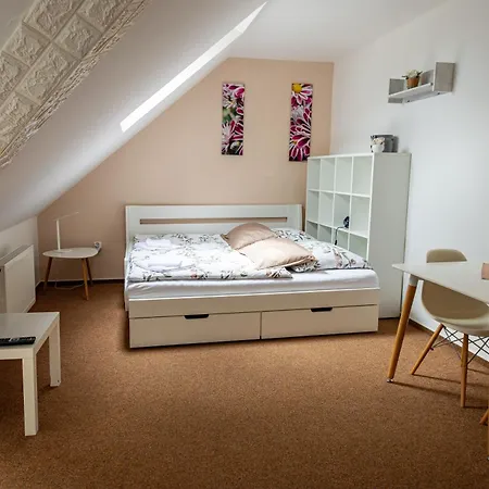 Guest house Penzion Karlov