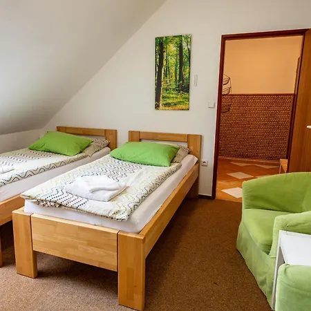 Guest house Penzion Karlov