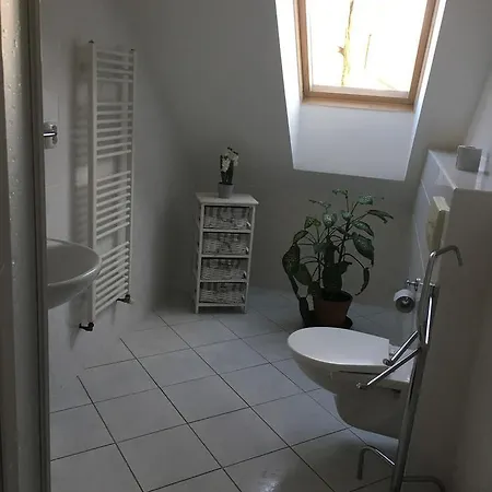 Penzion Karlov Guest house 3*