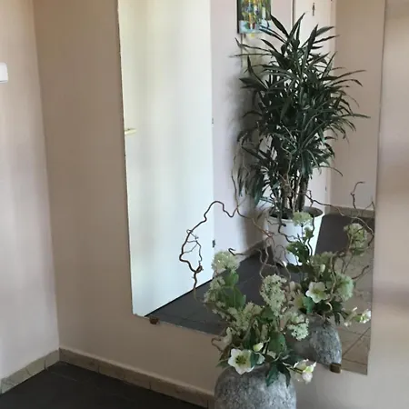 Penzion Karlov Guest house *