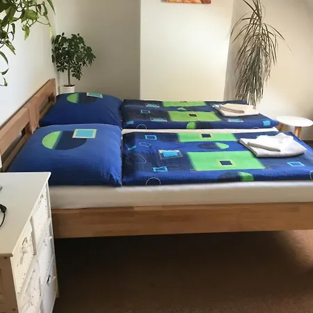Penzion Karlov Guest house