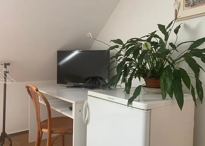 Penzion Karlov Gasthof Karlov (Pardubice)
